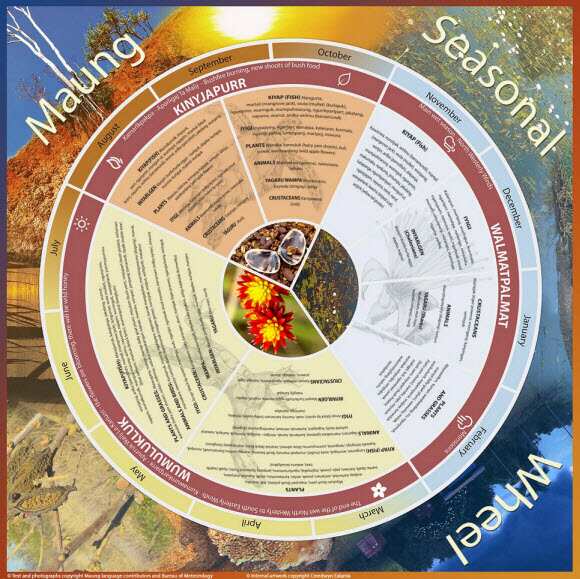 Maung Seasonal Wheel