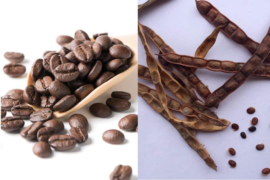 Indigenous Food On Country Kitchen Kriol Kitchen NITV Native Ingredients