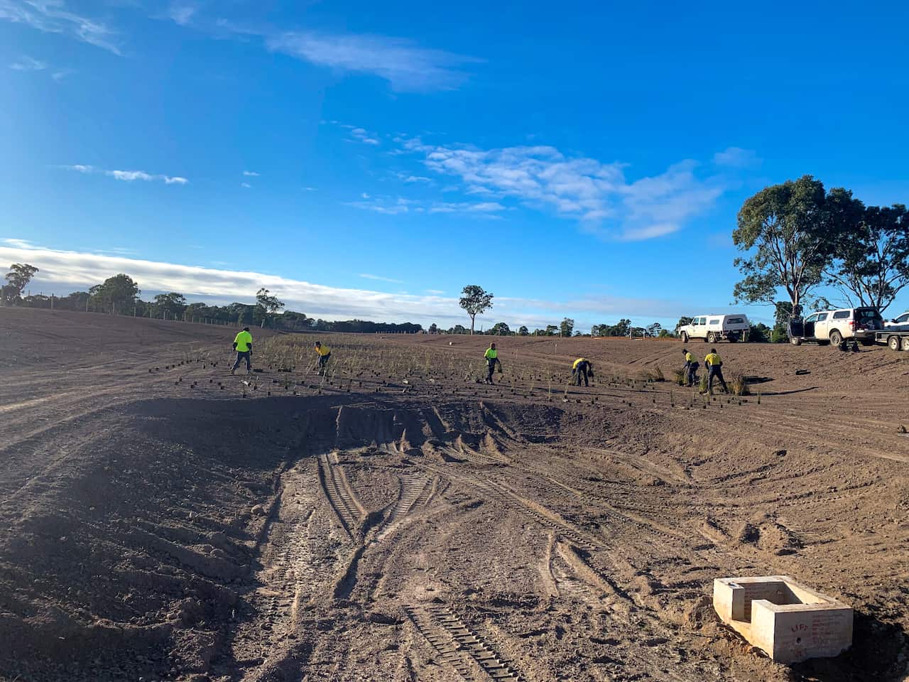 Digging out the wetlands took four months