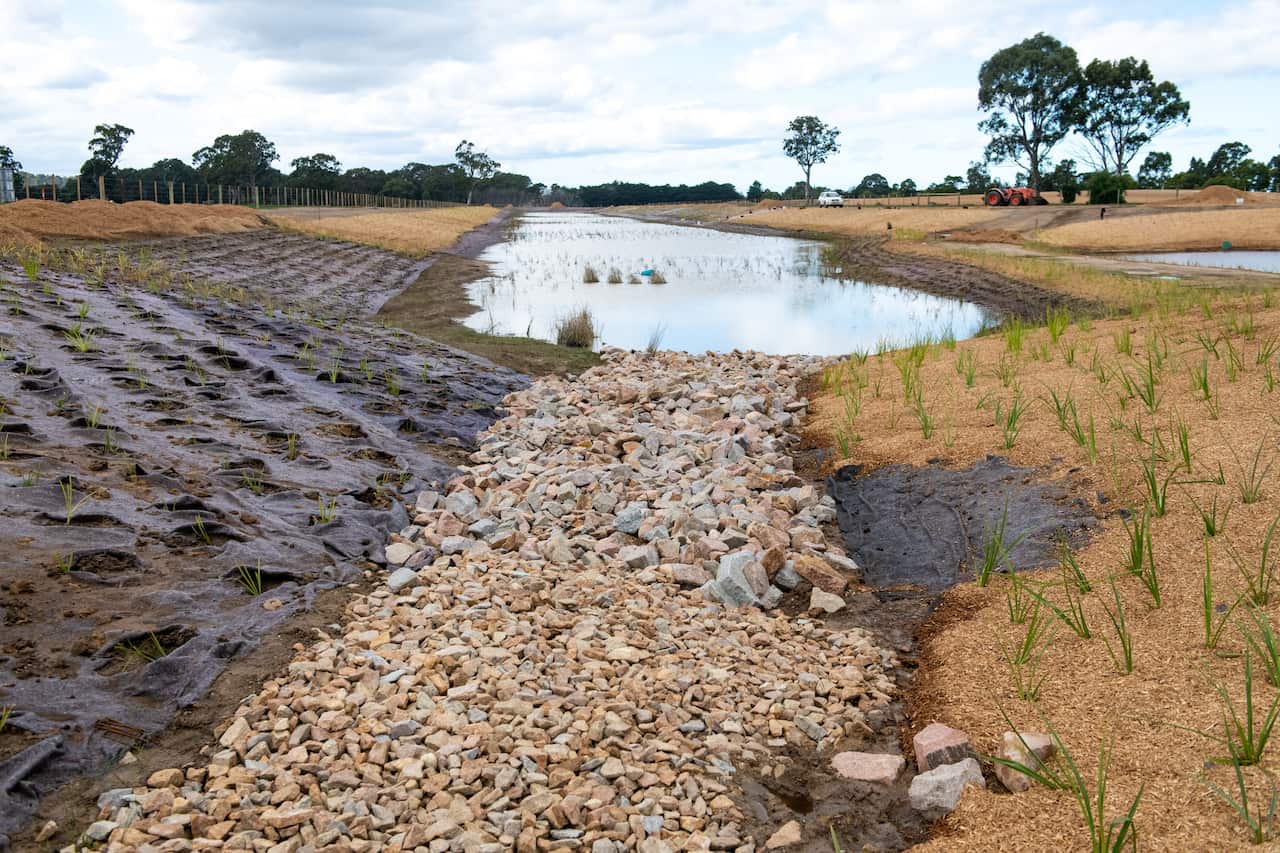 Contructed wetlands on Gunaikurnai country 