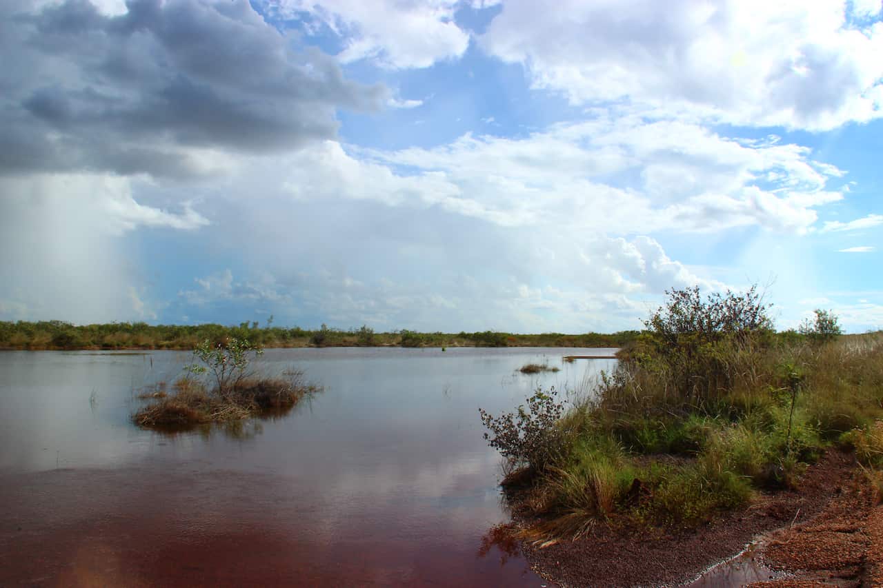 Spot showers across the Kimberley feed these water holes that Bilbys and other animals live off.