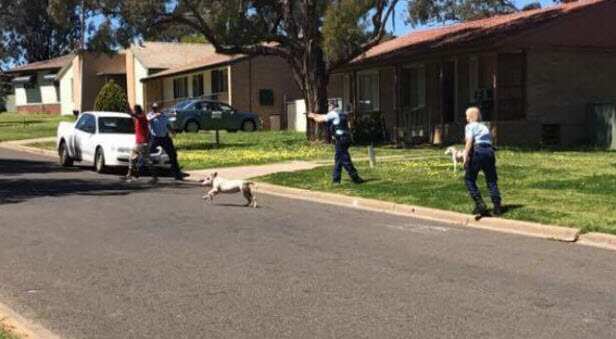 Cowra police shoot Indigenous man