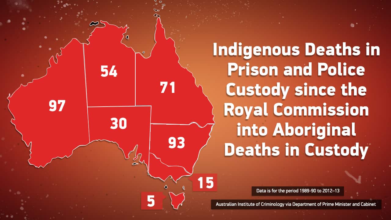Royal Commission into Aboriginal Deaths in Custody.