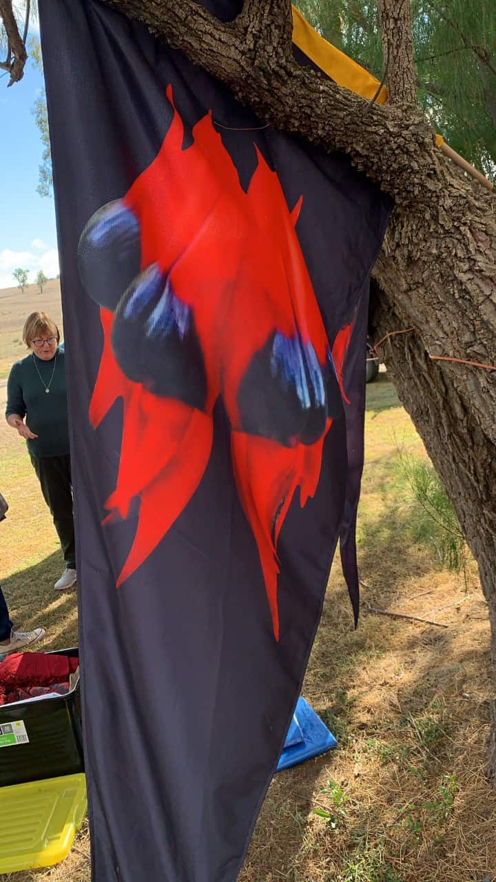 the Sturt Desert Pea stands out with its powerful red colour and black centre representing our patriots who suffered and died while defending and protecting Country and mob.