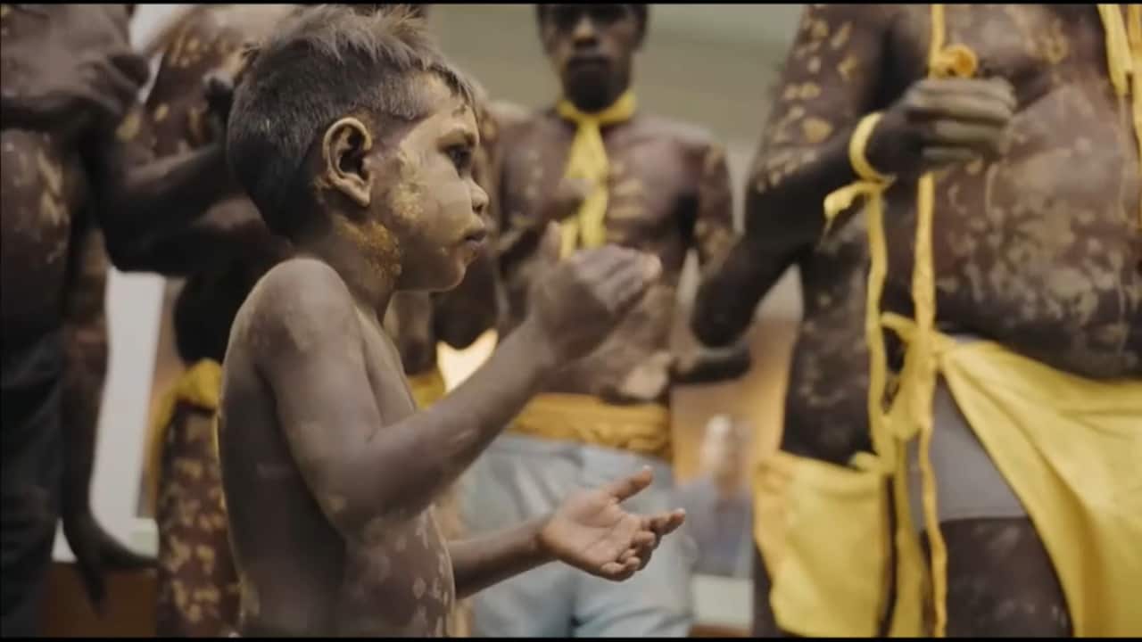 Dheran young labor northern territory daly election