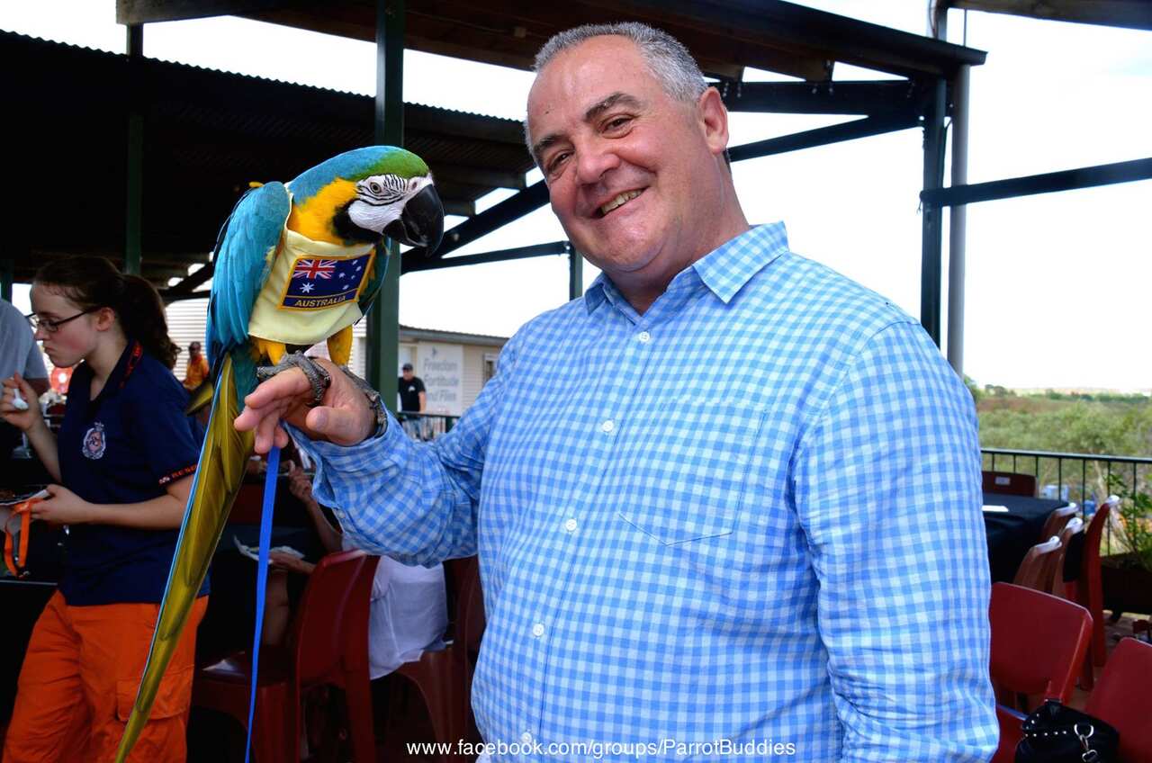 Had no idea bout the spithoods, says former Northern Territory corrections minister Gerry McCarthy