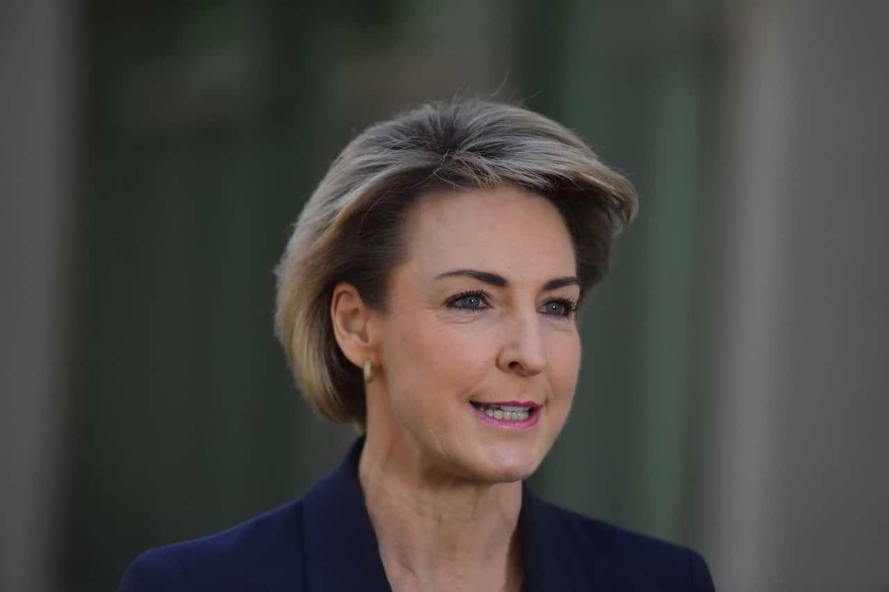 Minister for Employment Michaelia Cash at a press conference at Parliament House.