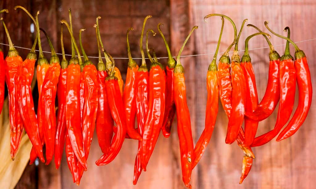 Chillis and Sriracha