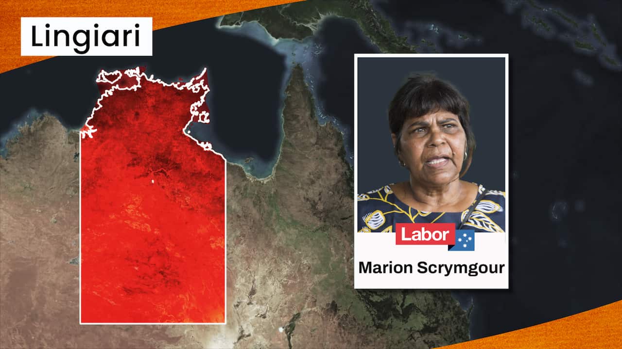 Marion scrymgour and the seat of lingiari