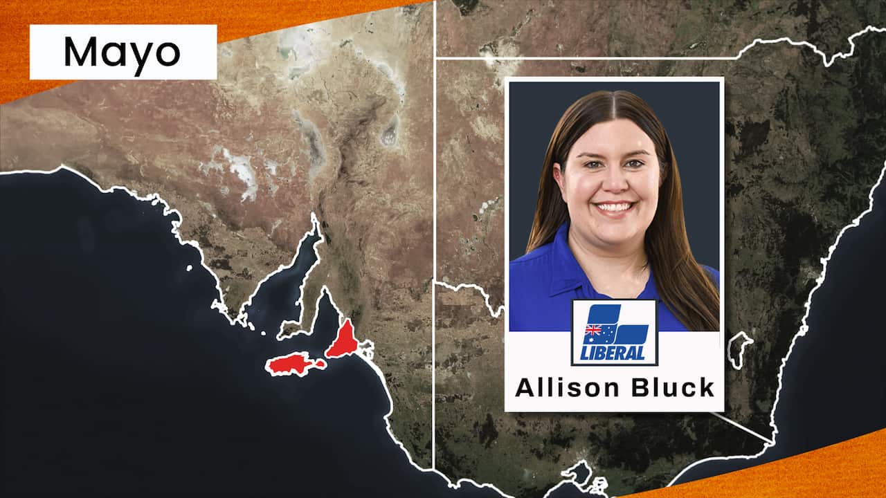 electorate_pic_mayo_allison_bluck_1.jpg