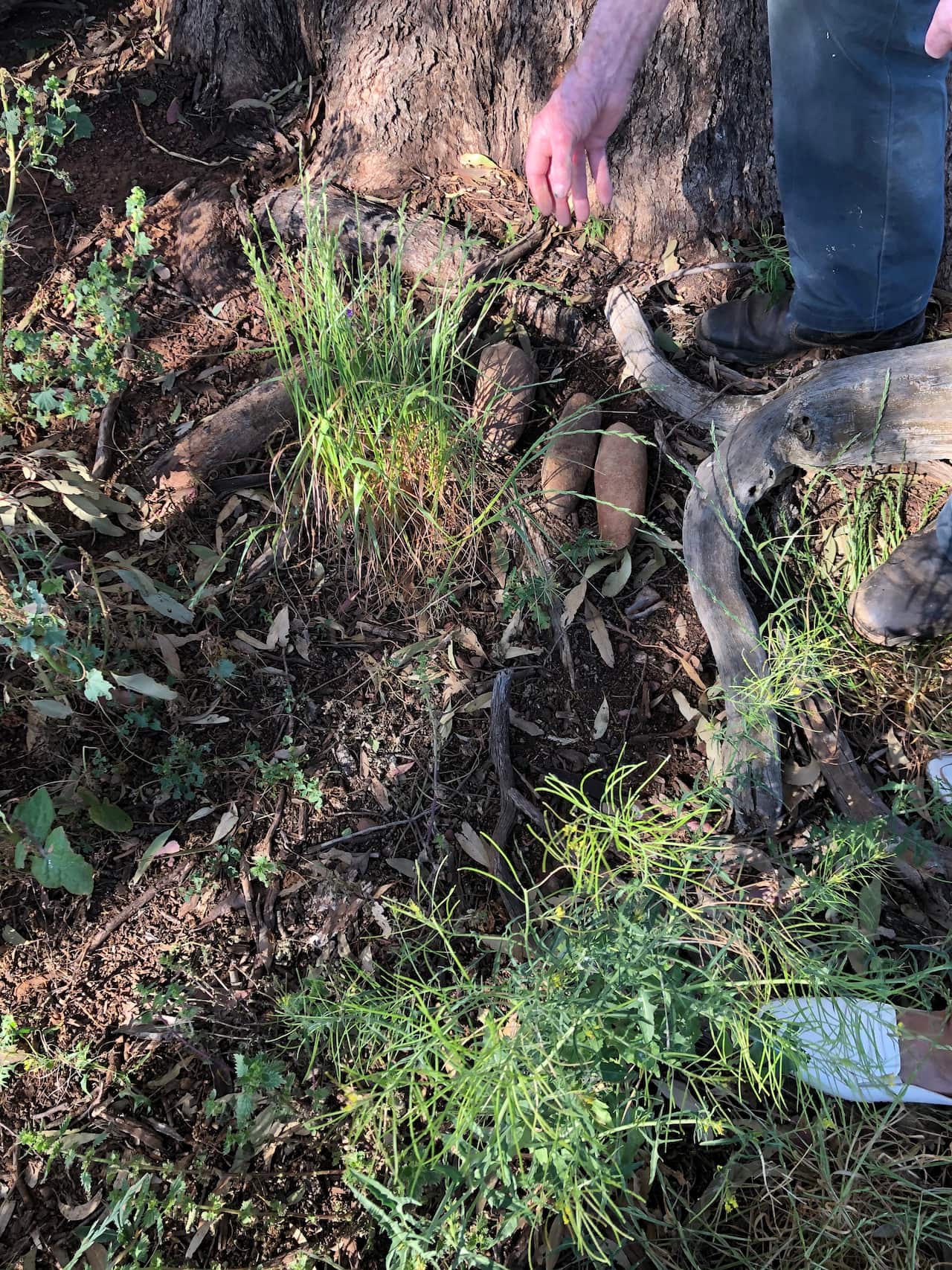 Artefacts placed back where they had been found by Andrew Tom