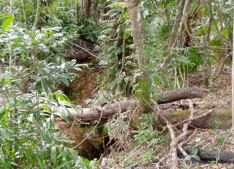 The source of a sacred freshwater stream at Djiliwirri