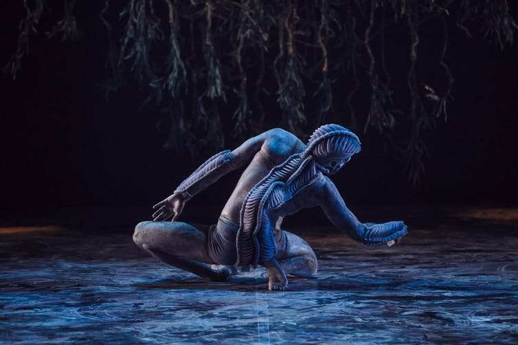 Whistler in Ones Country