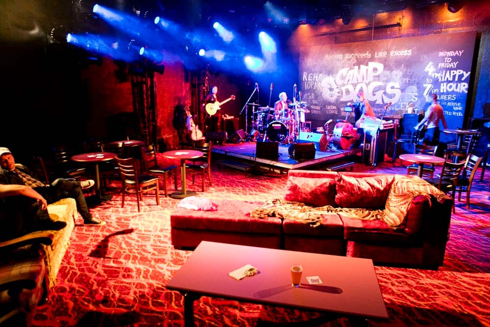 Barbara and the Camp Dogs