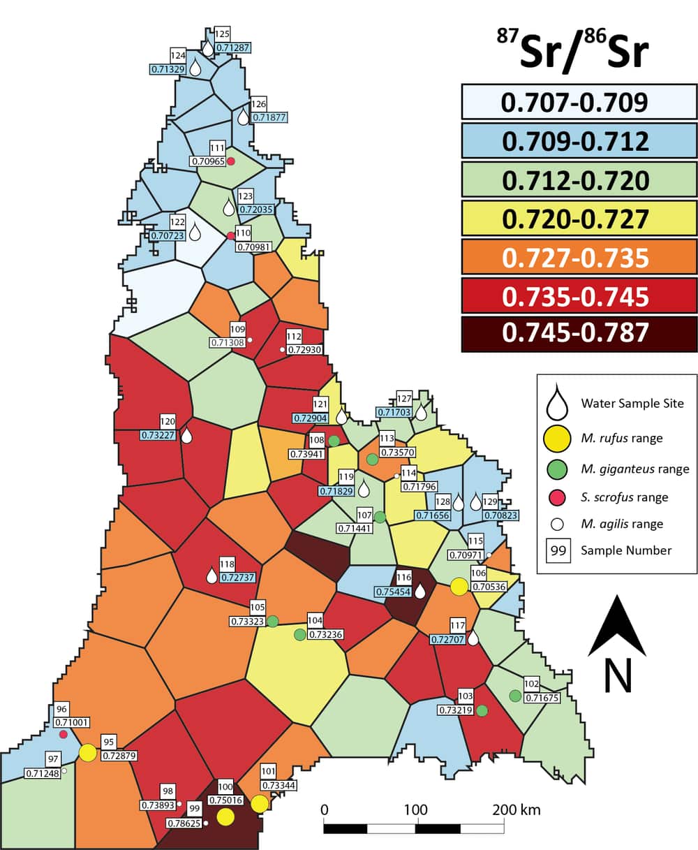 Maps of strontium isotope results