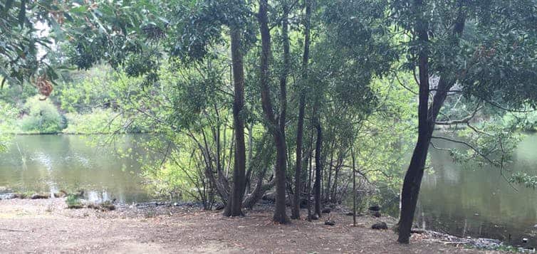 Participants told us