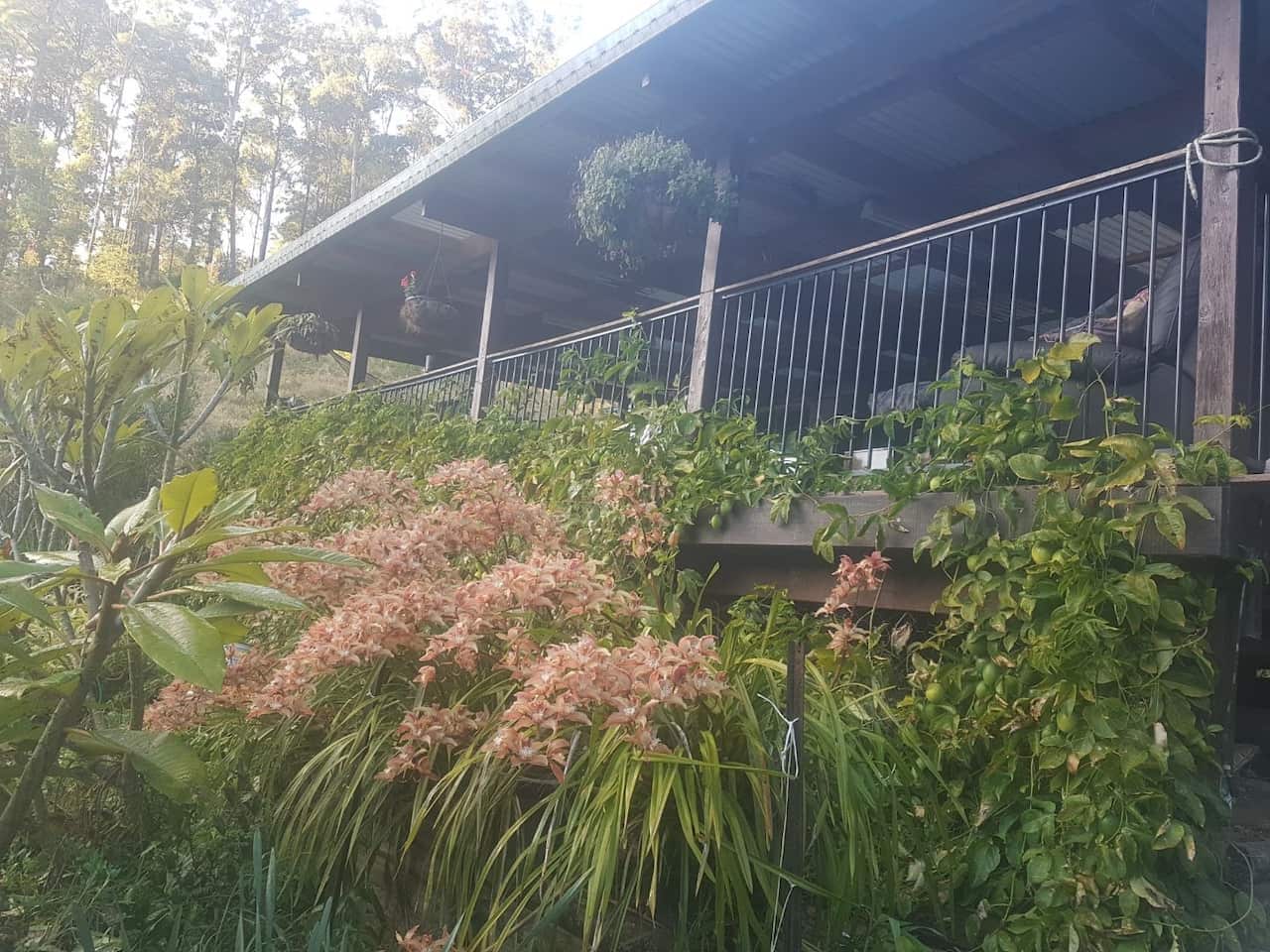 Helen Jones' home before the NSW bushfires