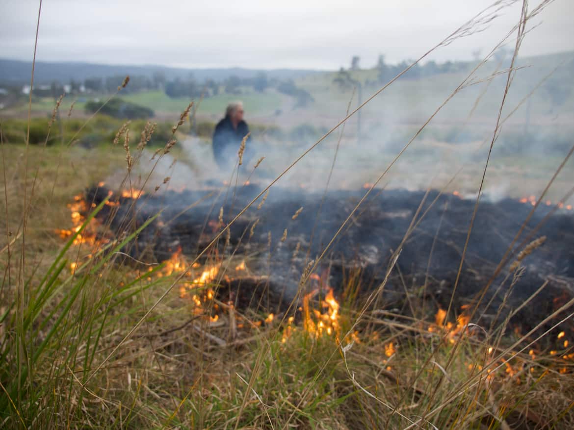 Fire through plants