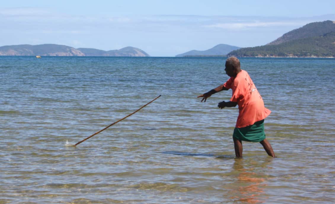 Palm Island spear fishing