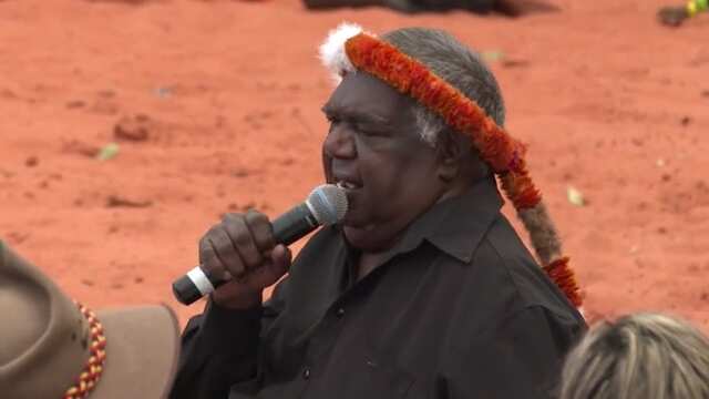 Gumatj Elder Galarrwuy Yunupingu