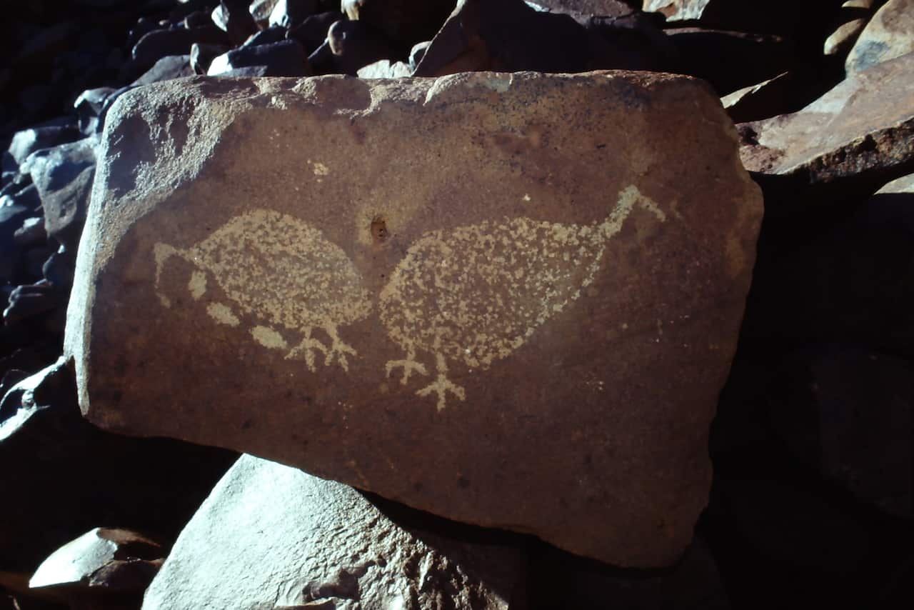 Rock carving of bush turkeys