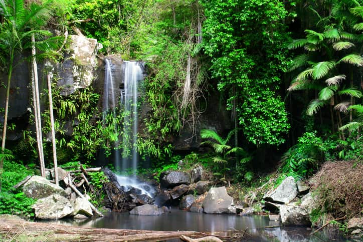 Waterfalls with forests and rocks