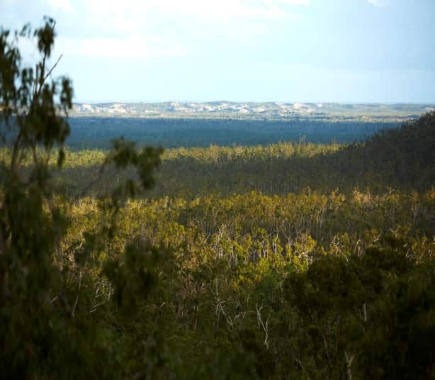 a long view of the landscape at gulkula