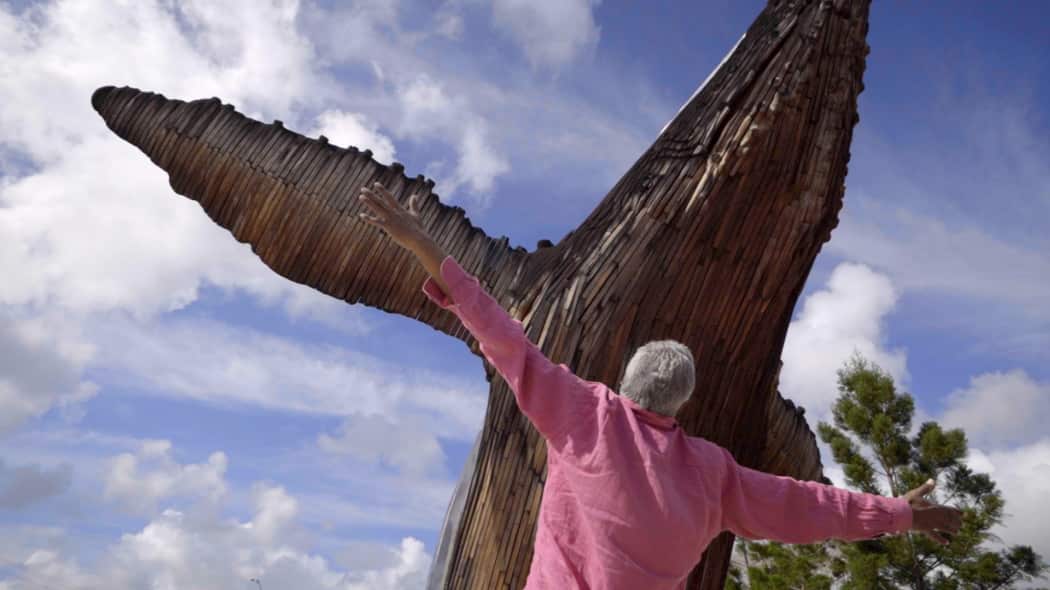 Ernie Dingo Hervey Bay
