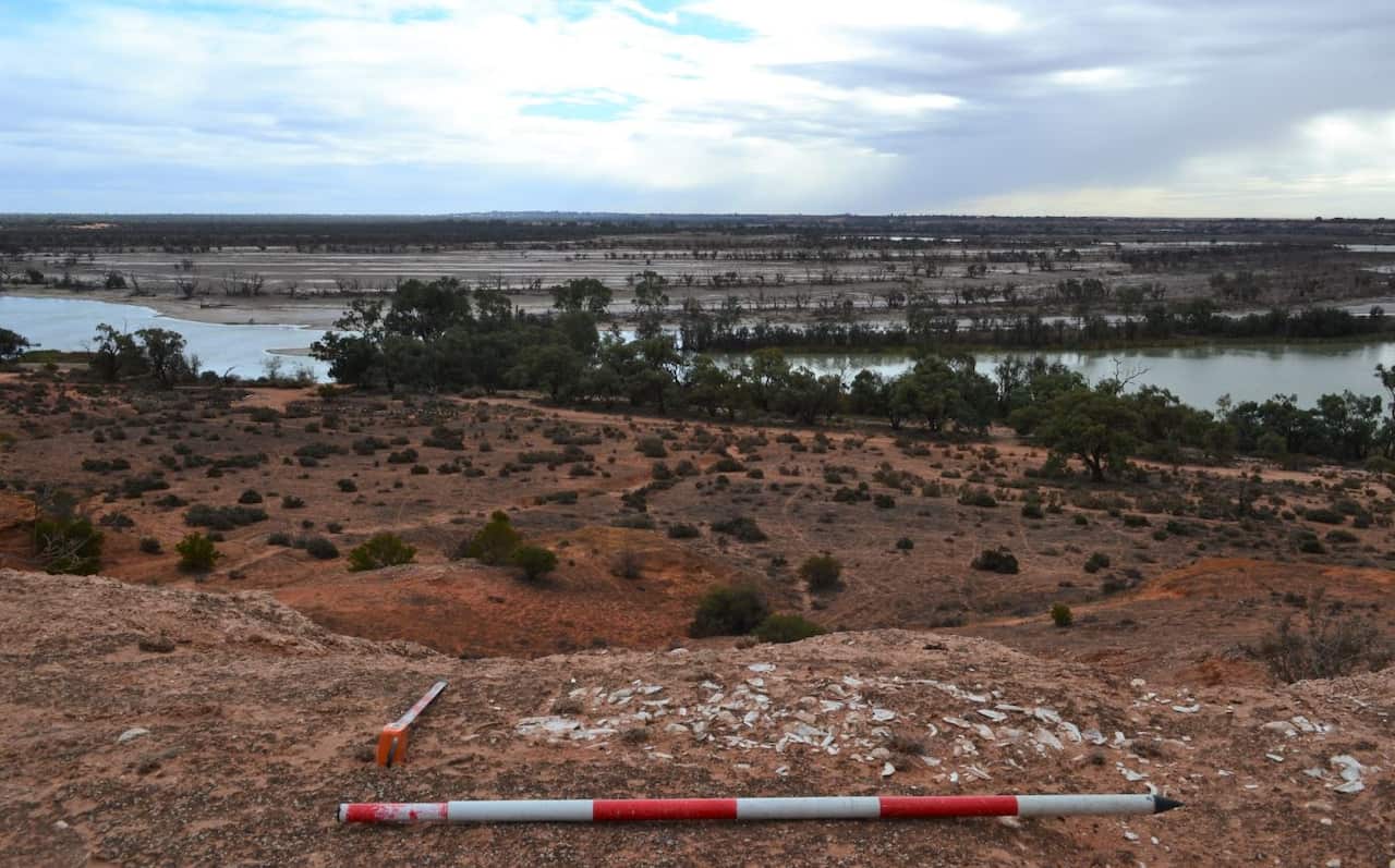 Midden shells exposed on the Pike cliff line.