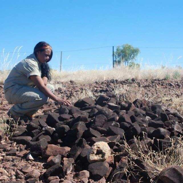 Bush Medicine Ranger project