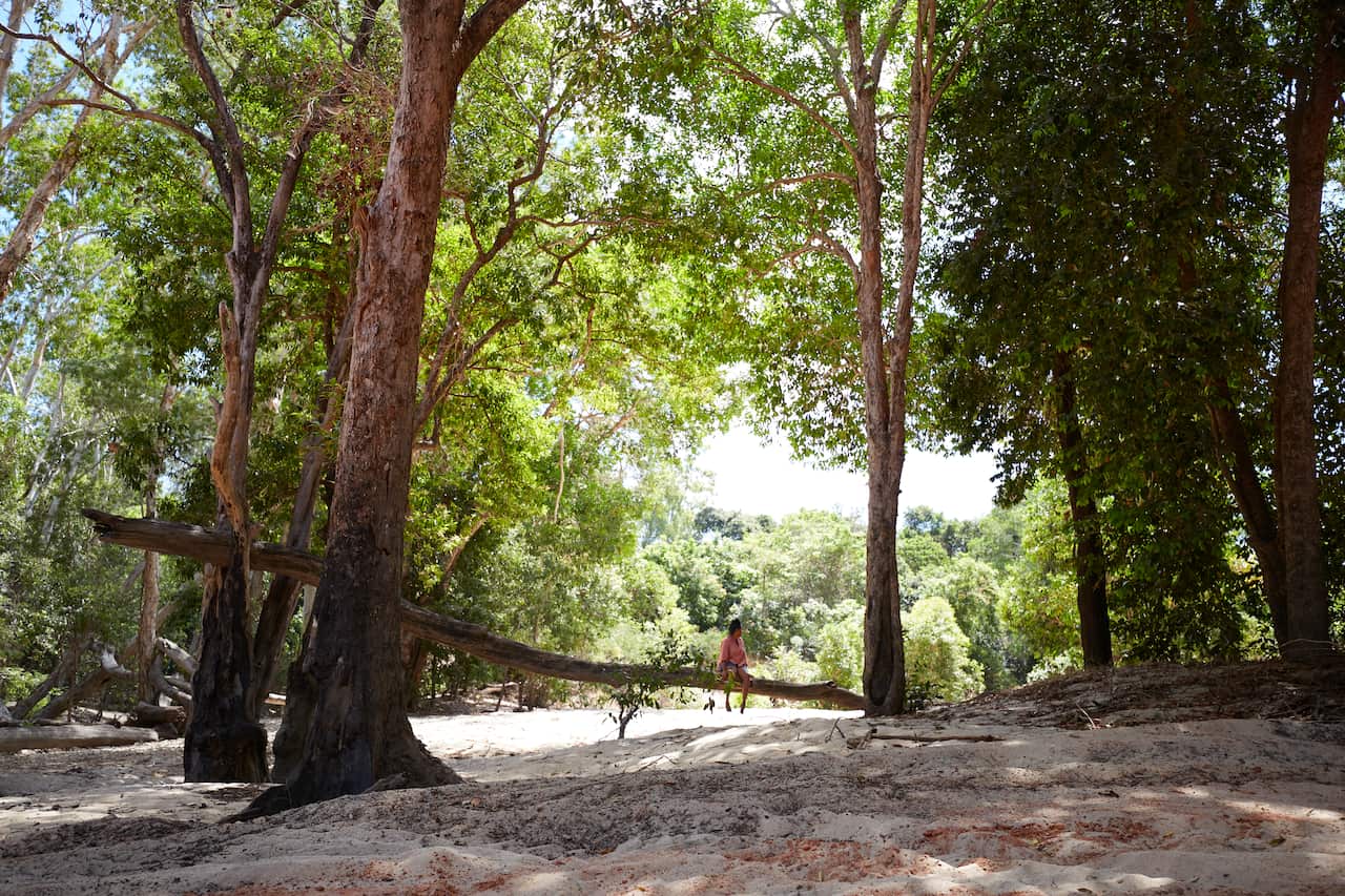 Naomi hobson indigenous first nations mecca cosmetics