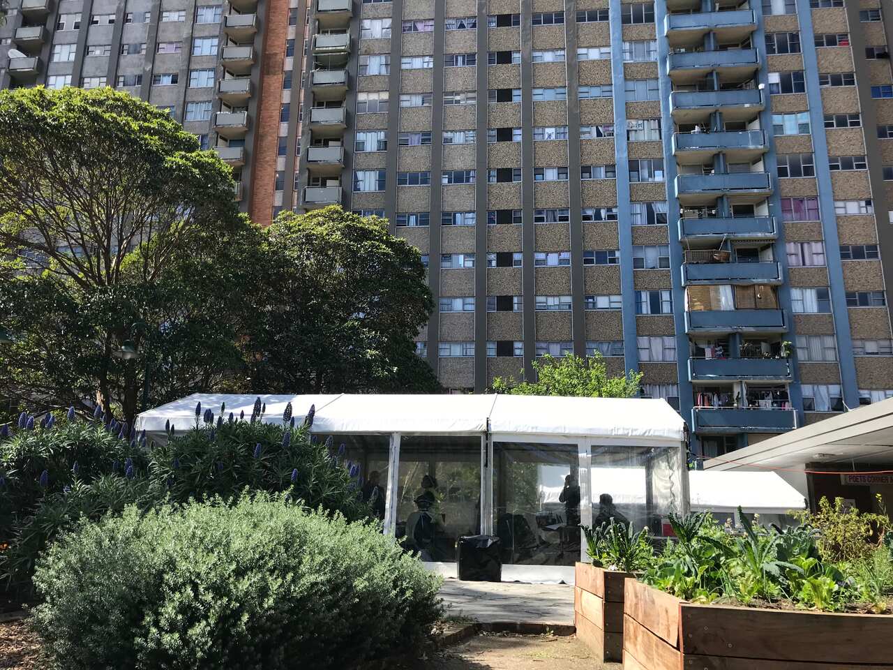 The tower on Morehead Street in Redfern known as “Lawson” is one of three social housing towers affected by an emerging cluster of 12 positive cases.