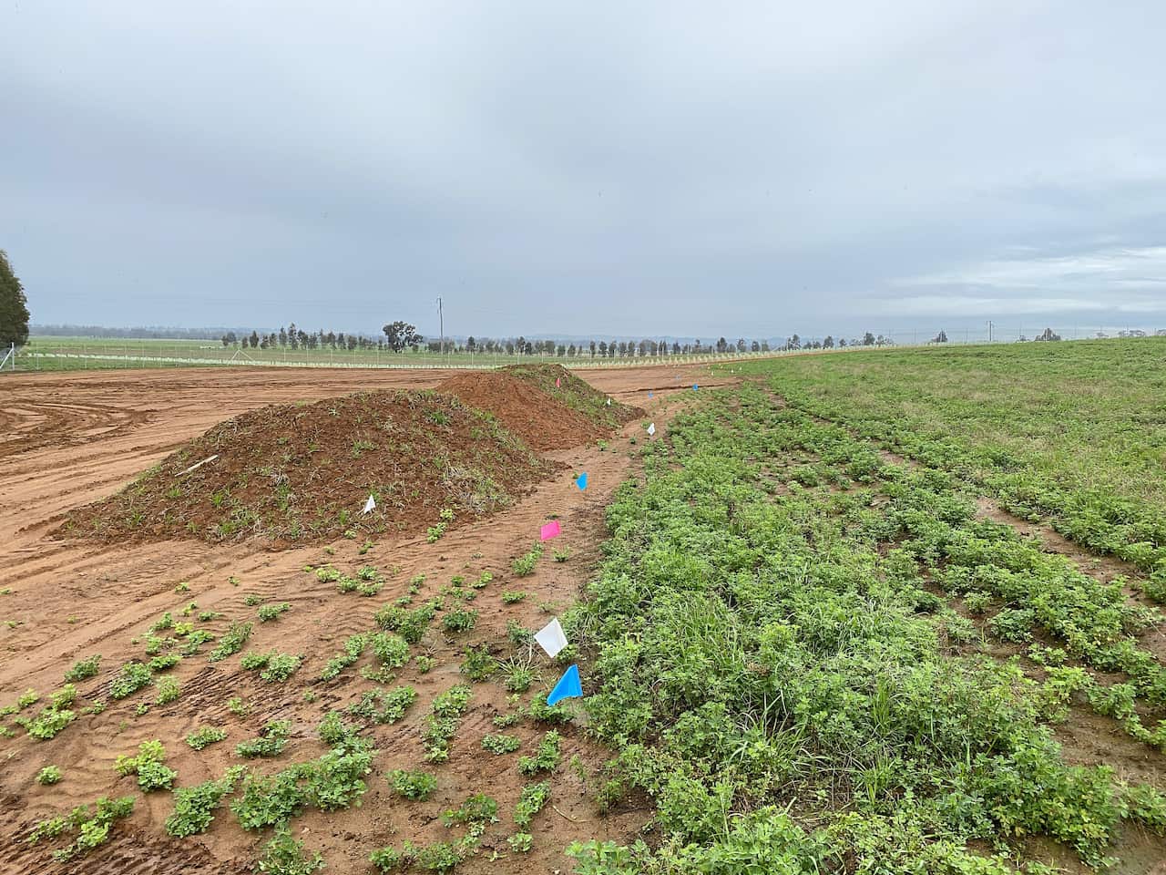 The Wagga Wagga solar farm site, owned by METKA EGN