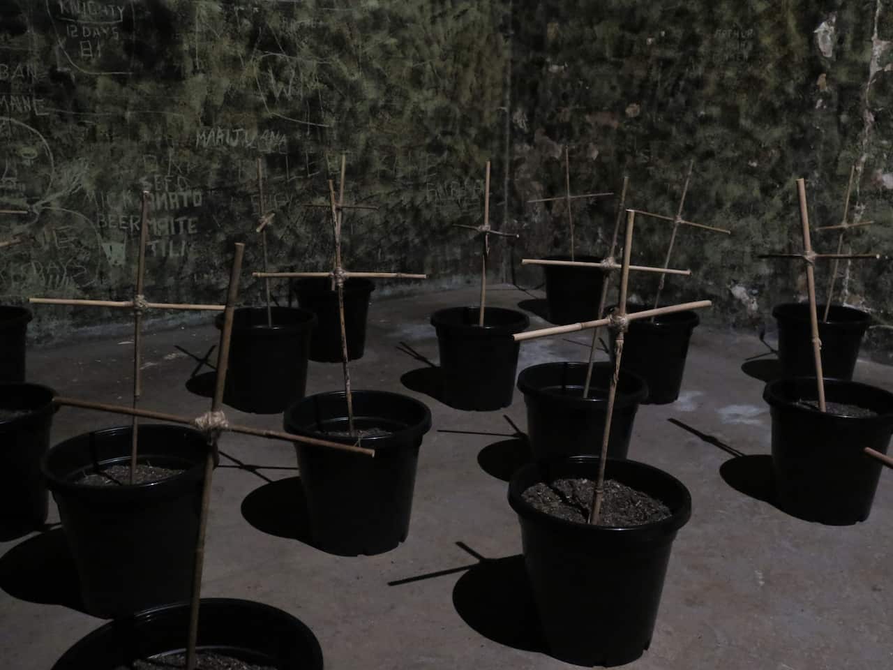 An installation at The Most Gaoled Race on Earth exhibition at The Lock Up in Newcastle.