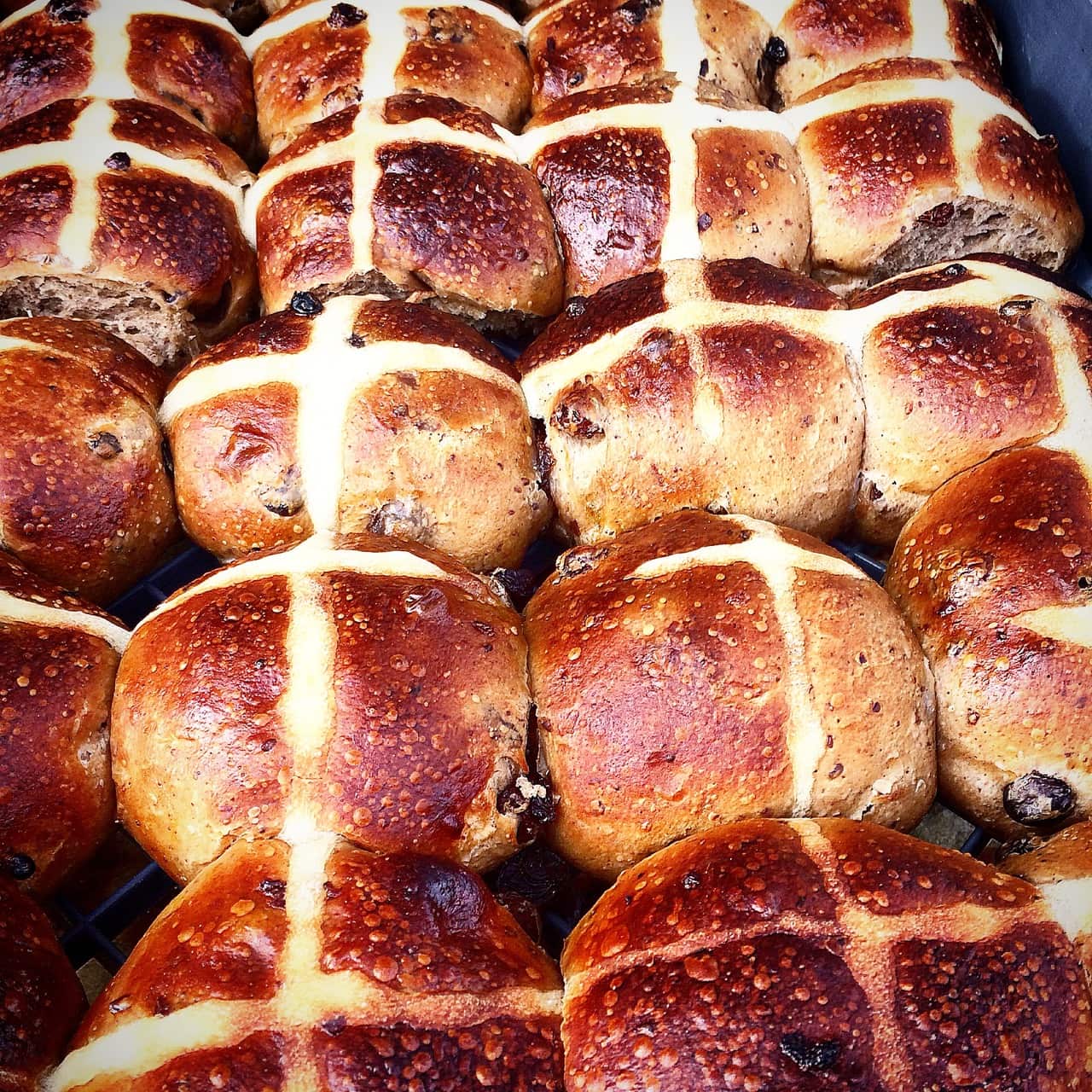 Australian Native Hot Cross Buns by Rebecca Sullivan
