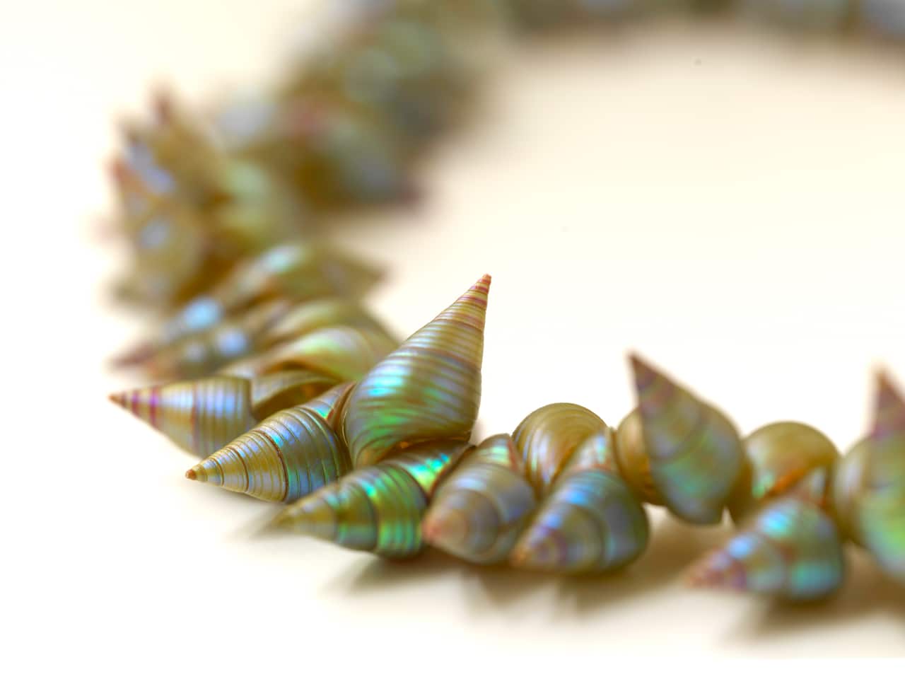 Shell stringing is a celebration of culture and a symbol of identity – an unbroken string that connects the Tasmanian Aboriginal Community, to Ancestors, culture and Country.