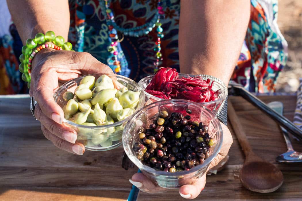 Bush Foods Indigenous Cooking Kriol Kitchen NITV