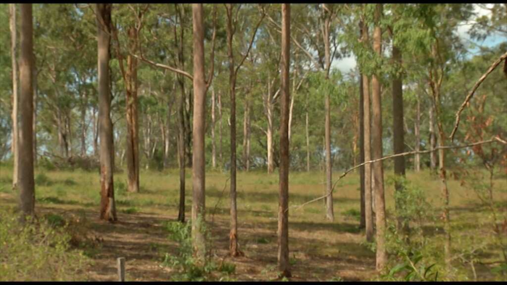Deebing Creek mission site.