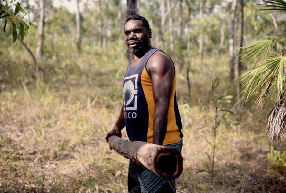 Larry gurriwiwi holds a hollow tree trunk in the bush. 