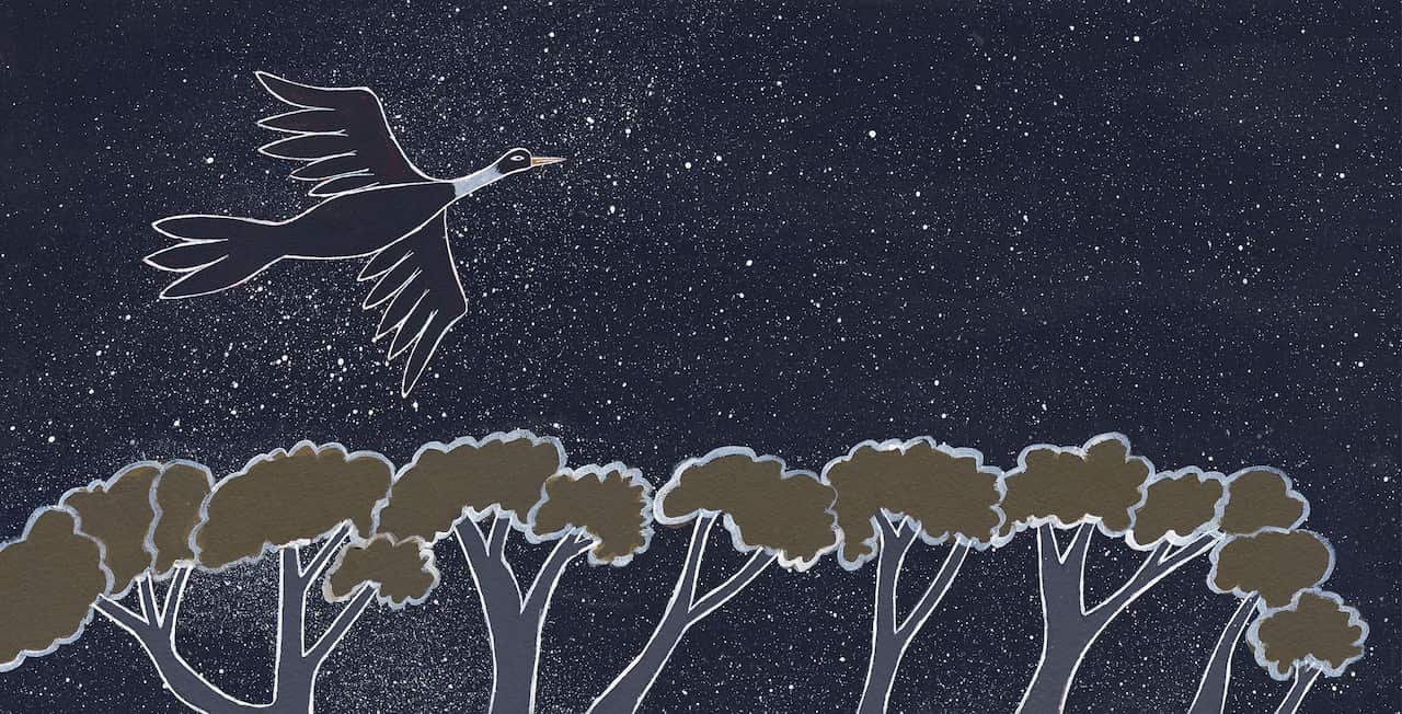 Johnny Warrkatja Malibirr: Indigenous illustrator 