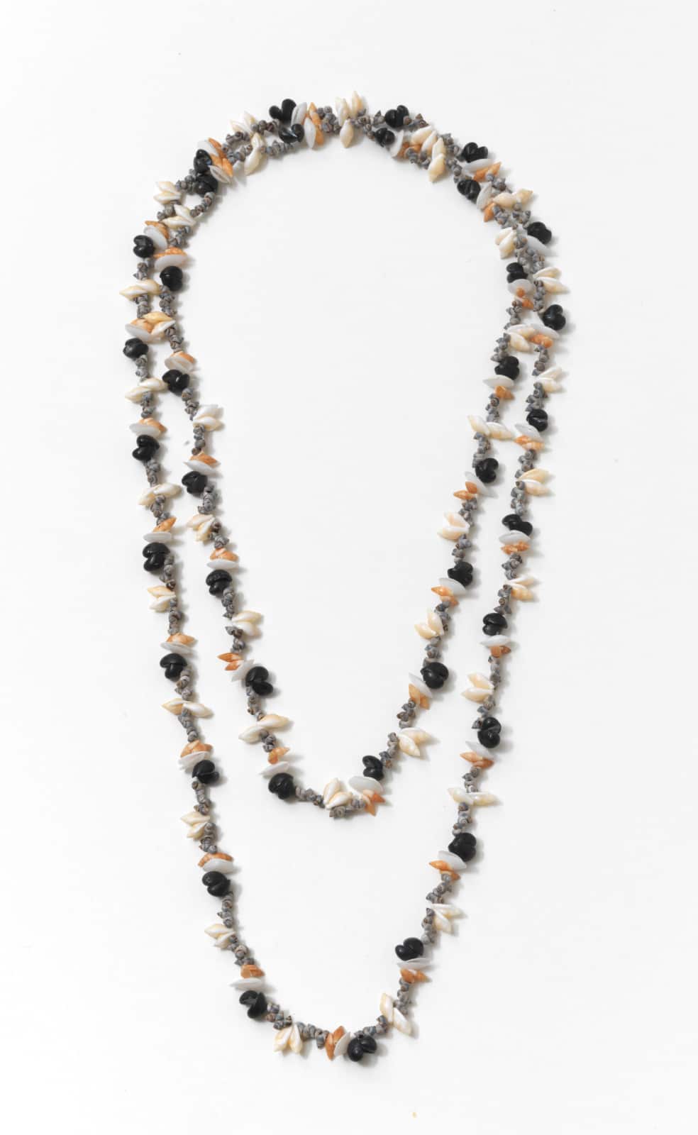 Lola Greeno (b.1946) black crows, blue gulls, penguins and oat shells Launceston 2016 Purchased TMAG Foundation 2016