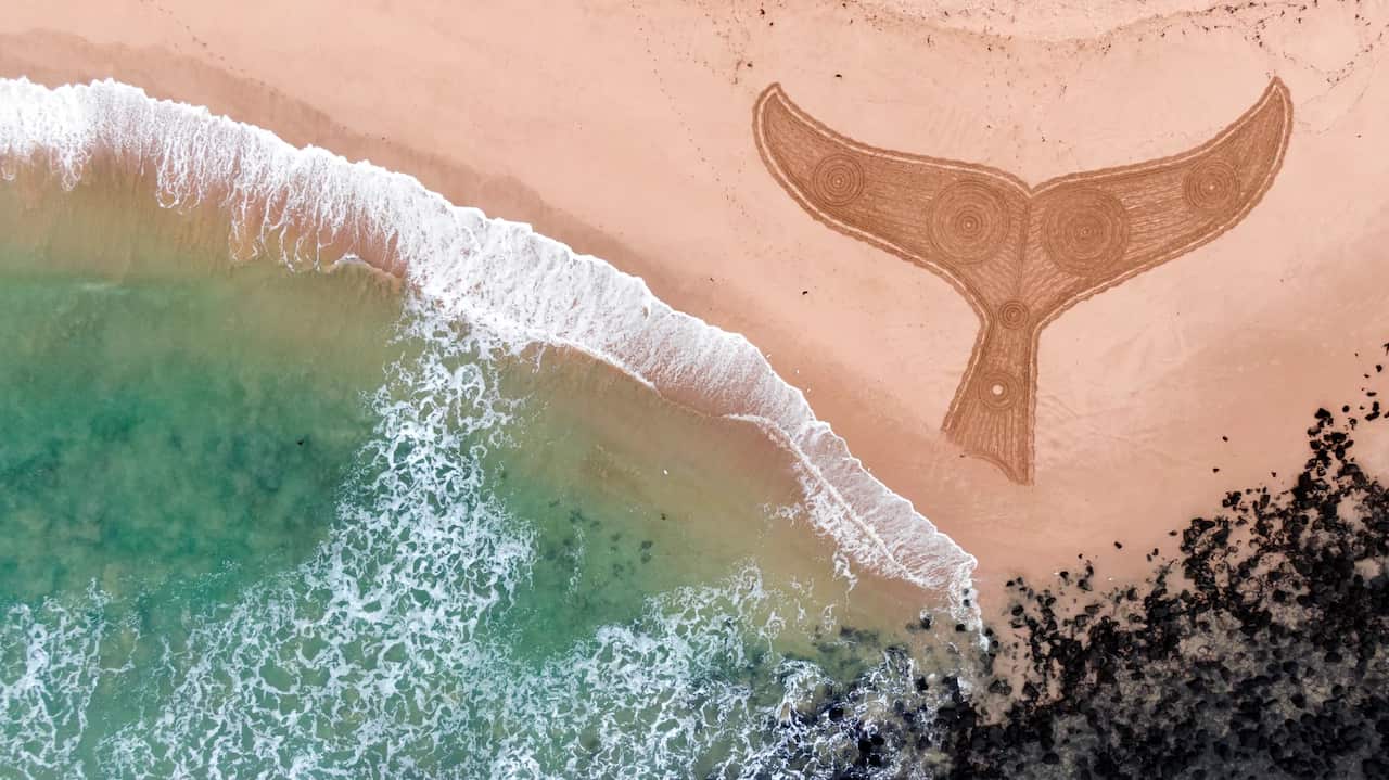 an aerial photo of a whales tail etched into the sand at a beach