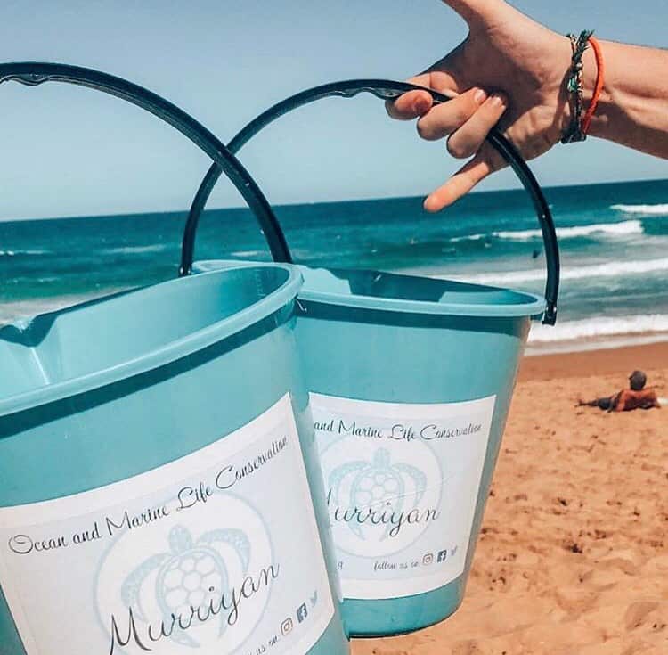 Indigenouus marine life conservation using Indigenous values at its core. 