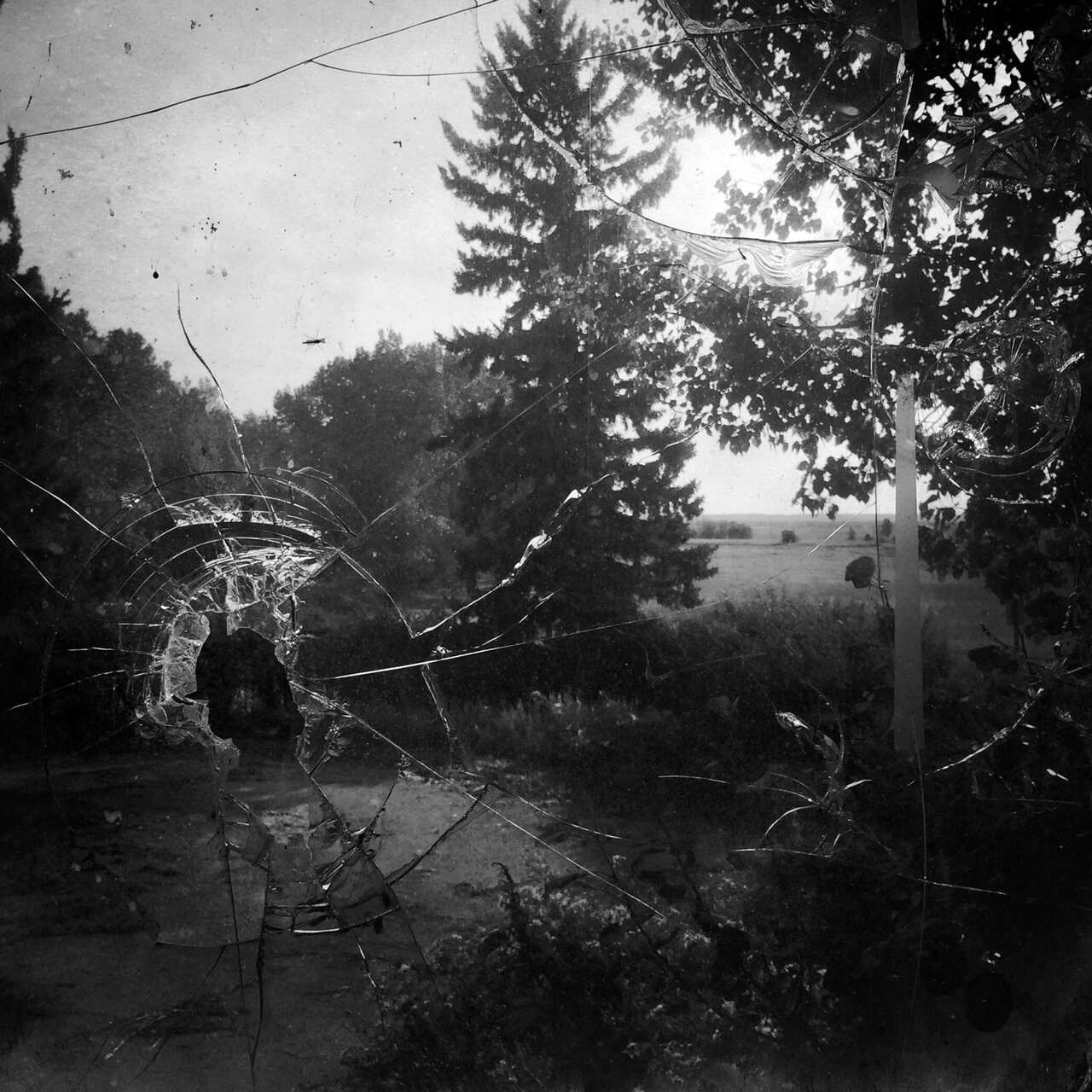 Signs of your identity - Daniella Zalcman