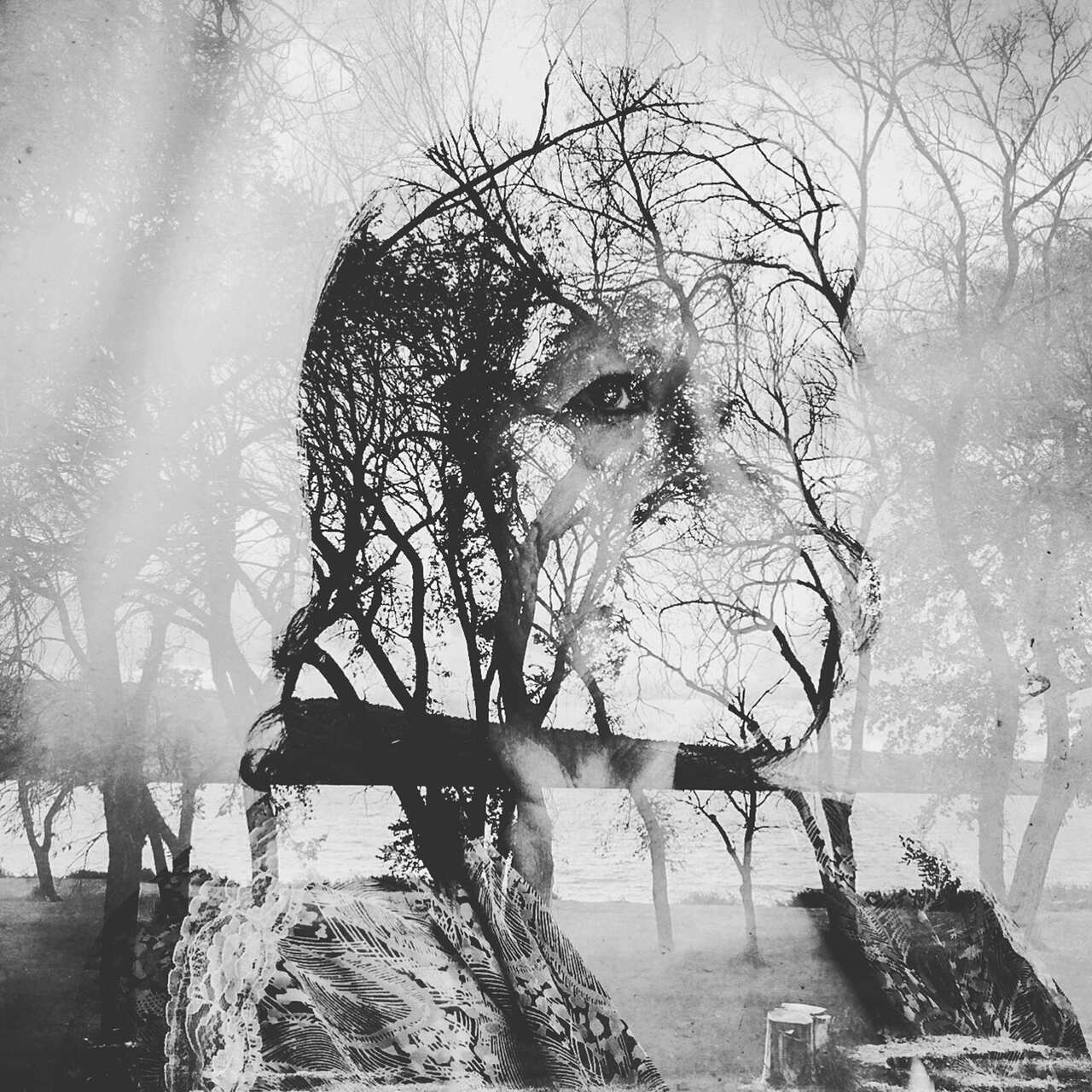 Signs of your identity - Daniella Zalcman