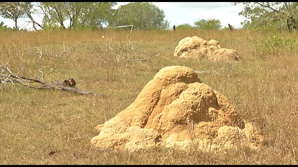 Deebing Creek mission site.