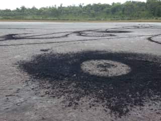 Track marks on lake near Mt Lindesay, caused by illegal vehicle use. The lake is an Aboriginal sacred site and vehicle access is not permitted.