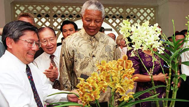Nelson Mandela and the Mandela Orchid