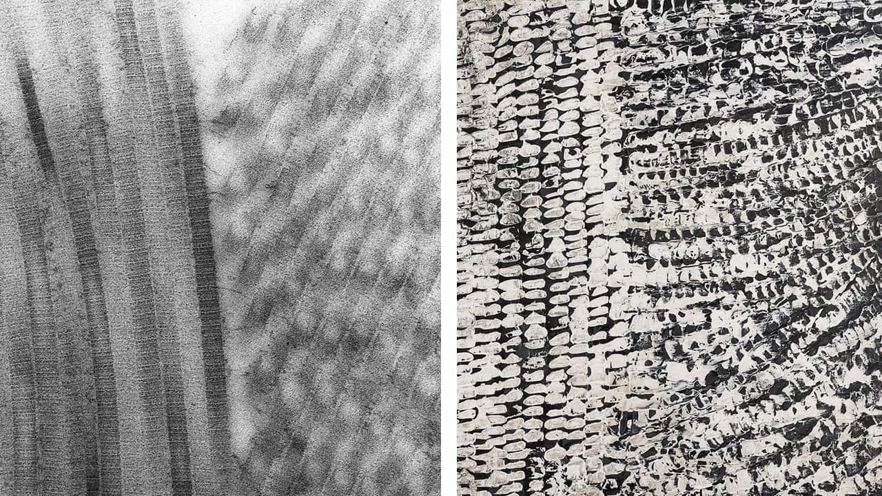 Collagen Fibrils and Skin.