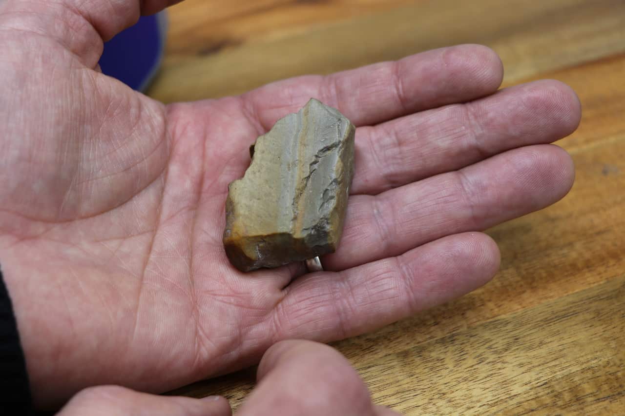 One of the 5,500 artefacts recovered from the Newcastle West dig.